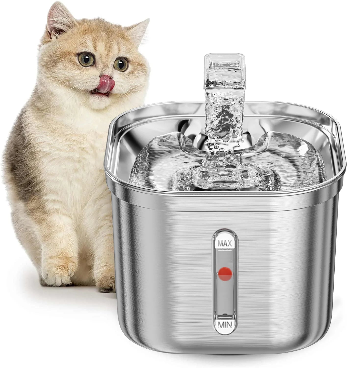 Automatic drinking fountain for cats best sale