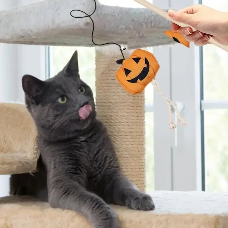 1 - Piece Halloween Themed Cat Toy - The Cat Mom Shop