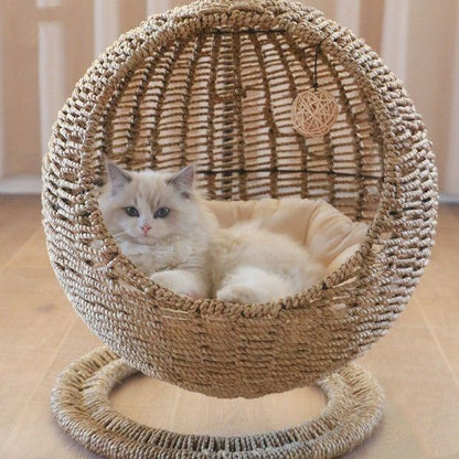 Cat Lounging Hanging Basket