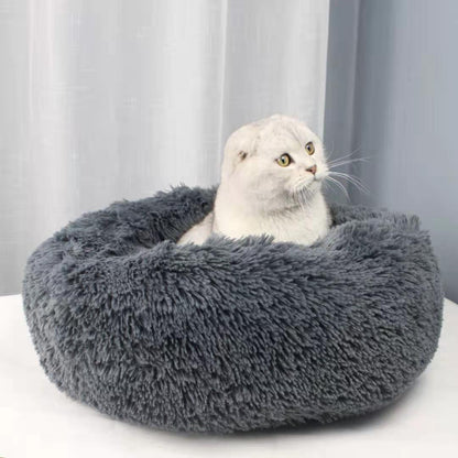 Plush Kitty Bed