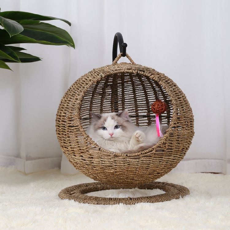 Cat Lounging Hanging Basket