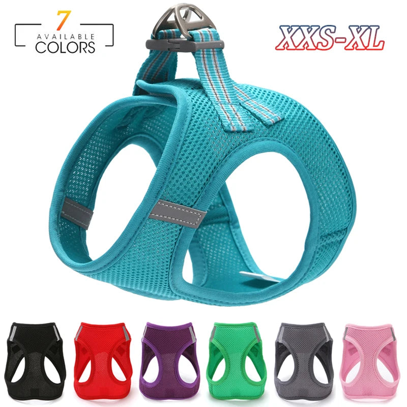 Cat Collar Harness