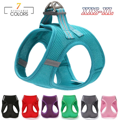 Cat Collar Harness