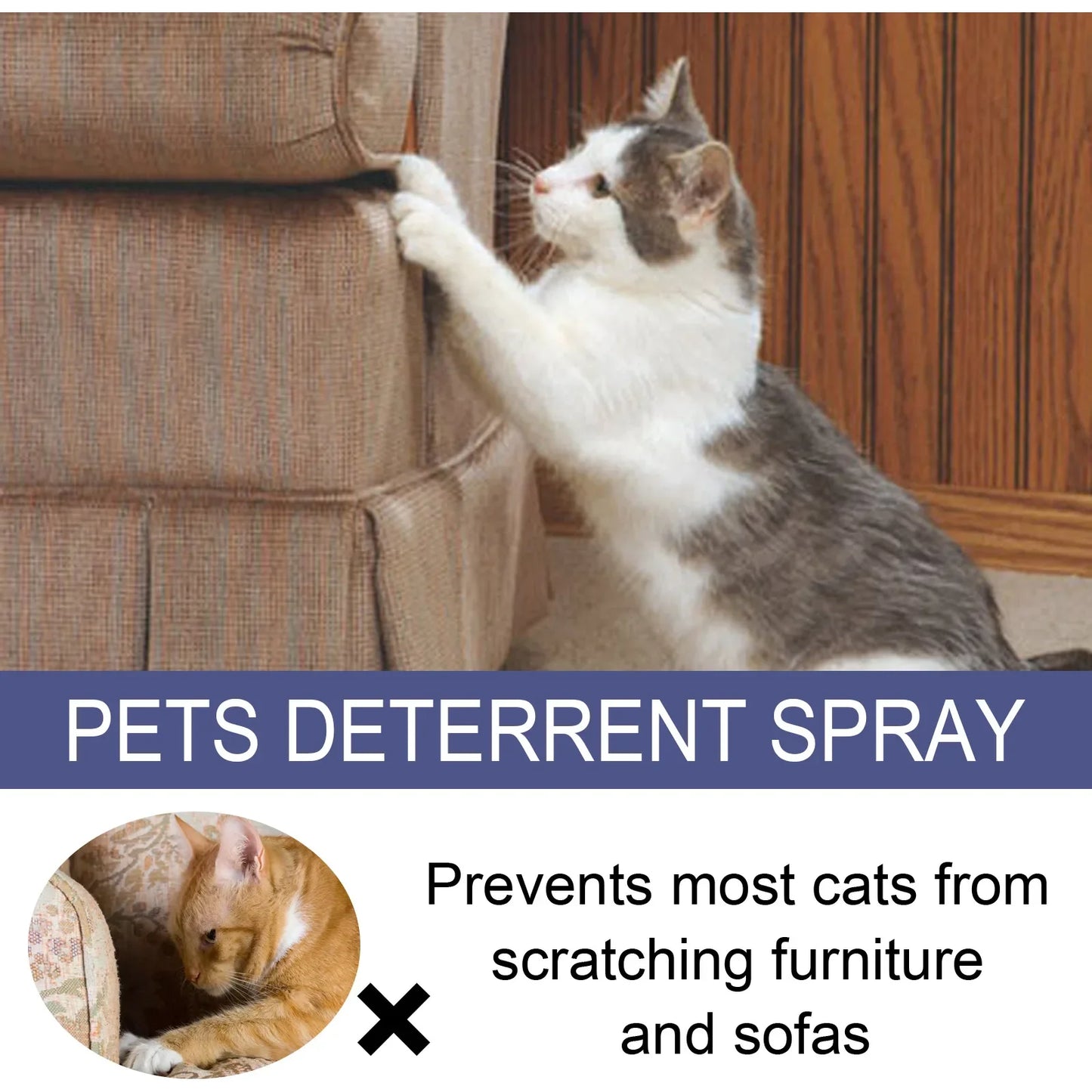 Pet Scratch Deterrent Spray