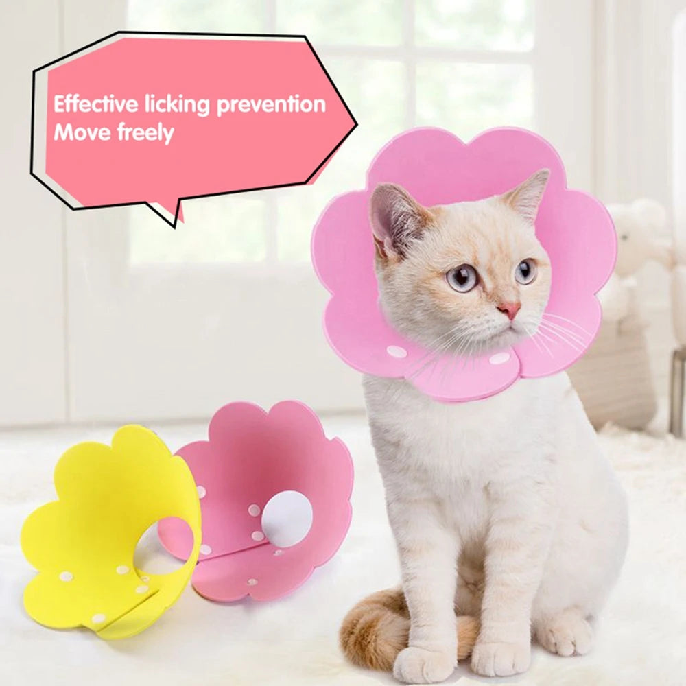 Flower Shaped Cat Recovery Collar