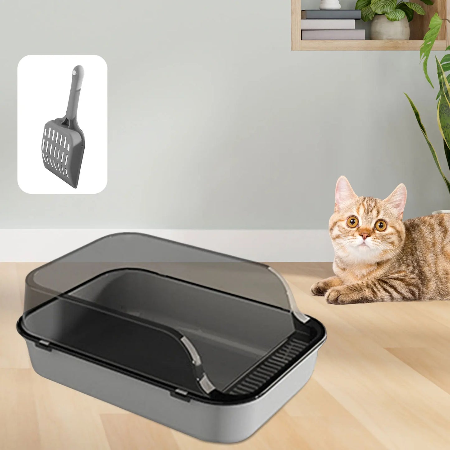 Cat Litter Box