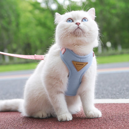 Suede Cat Harness With Leash