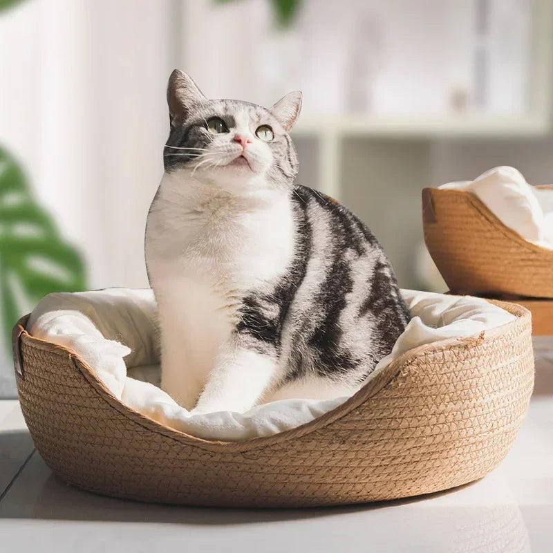 Bamboo Cat Sofa With Removable Cushion