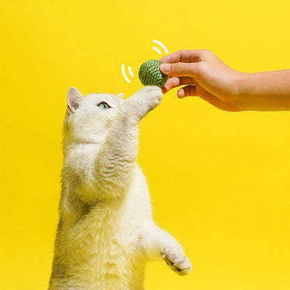 "Pea's-in-a-Pod" Cat Toy