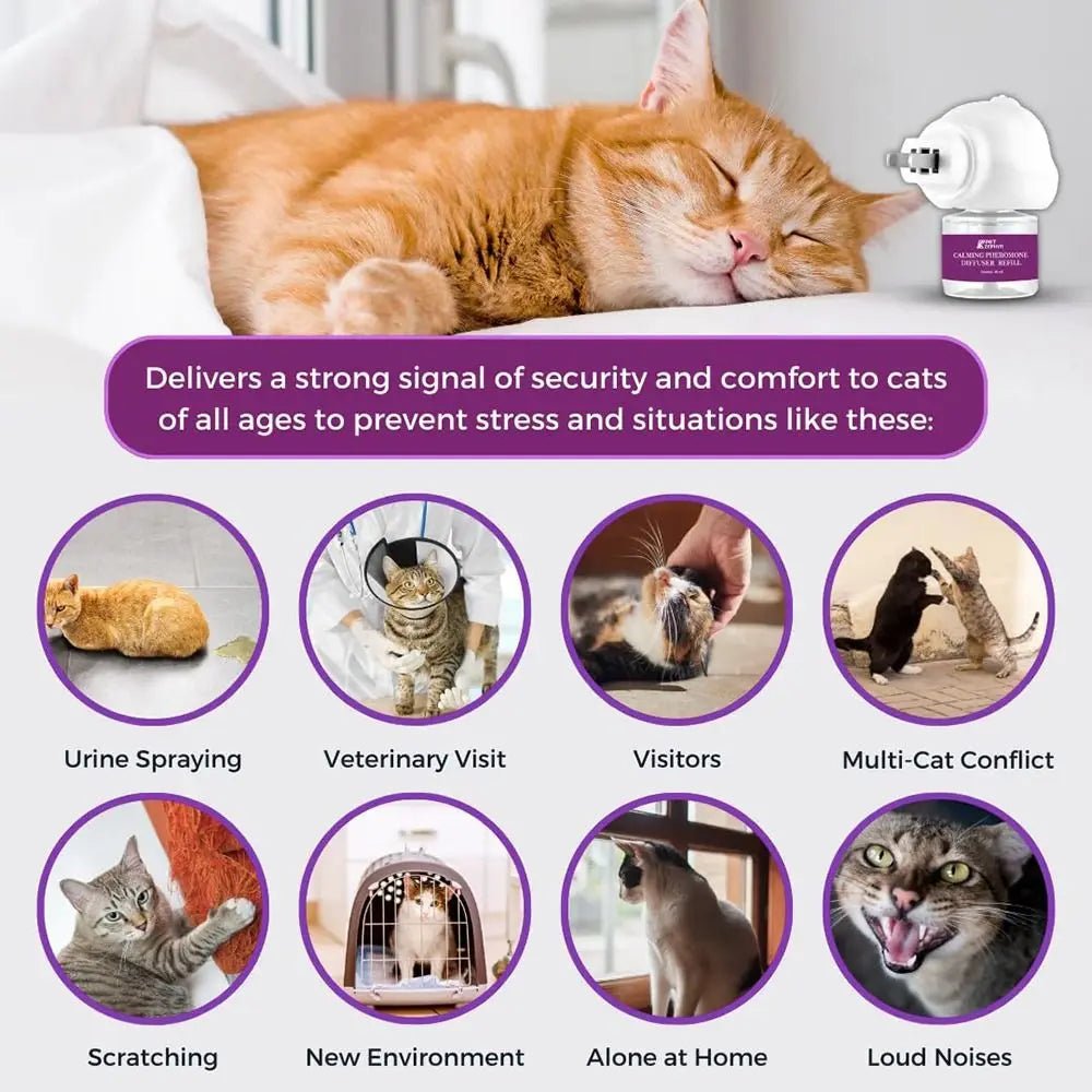 Cat Pheromone Calming Spray - The Cat Mom Shop